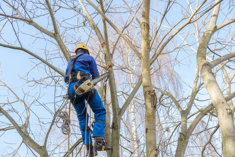 Safety Clearance Trimming
